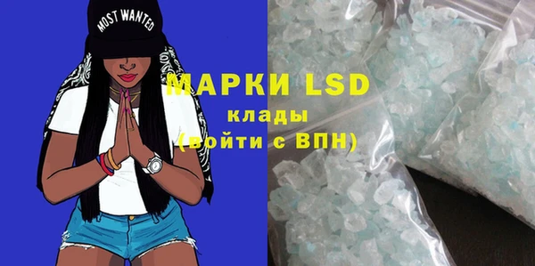 хмурый Абаза
