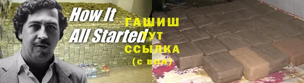 хмурый Абаза