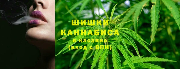 хмурый Абаза